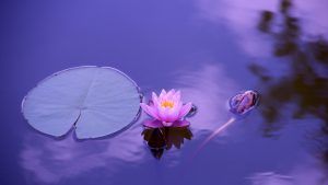 Meditación