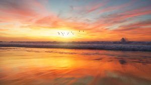 Playa en el atardecer