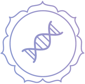 Icono Sanación del ADN