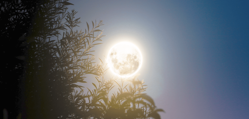 Luna Llena Abril