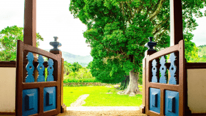 Portal 8:8 · Mundo Pránico