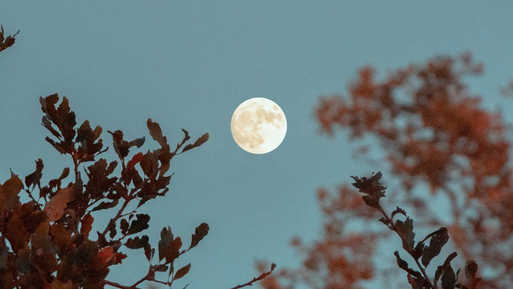 Luna llena de febrero