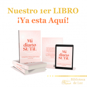 Libro Mi Diario Sutil