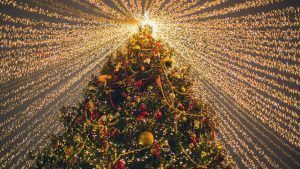 Árbol de la Navidad iluminado