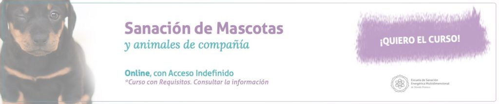 MasterClass Sanación de Mascotas
