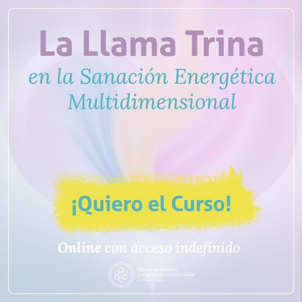 Mini cursi La Llama Trina