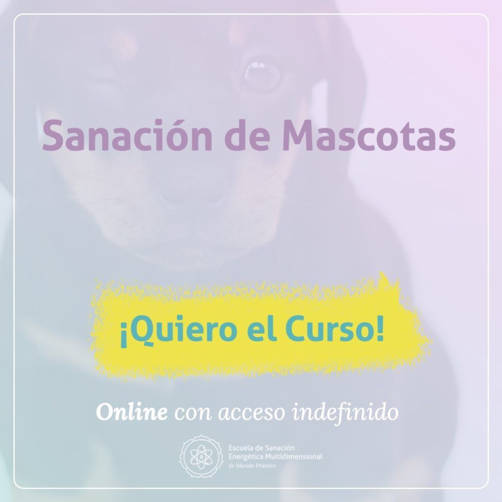 Curso Sanación de Mascotas