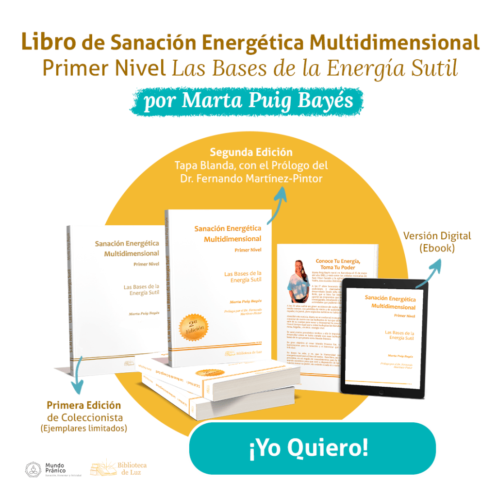 Libro Primer Nivel de Sanación Energética Multidimensional, Las Bases de la Energía Sutil