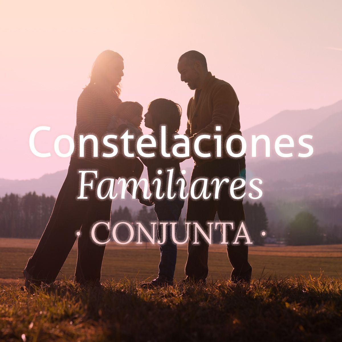Constelaciones Familiares Conjunta